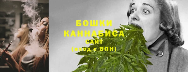 МДПВ Бронницы
