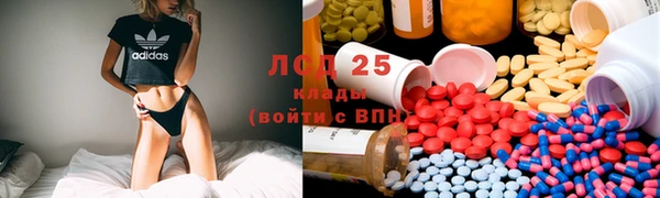 индика Верхний Тагил