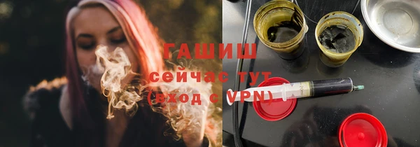 твердый Бородино