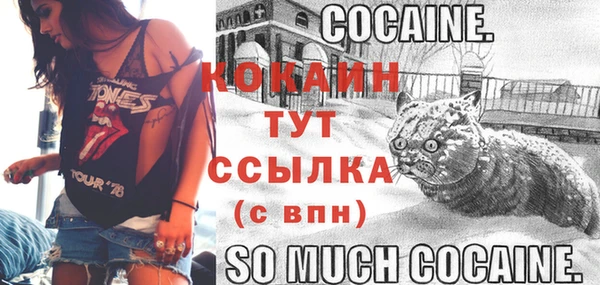 индика Верхний Тагил