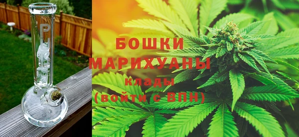 индика Верхний Тагил