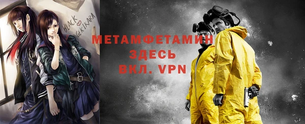 твердый Бородино