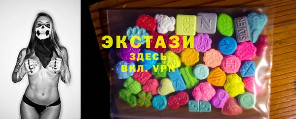 индика Верхний Тагил