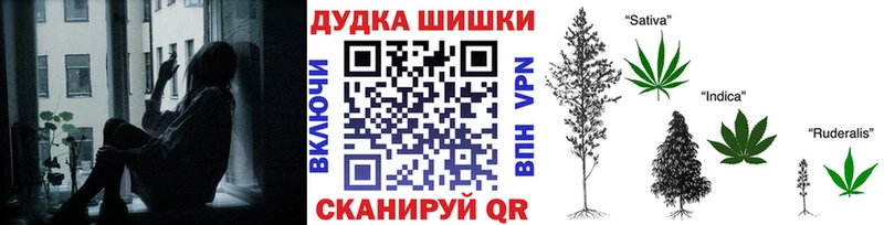 наркошоп  Ростов  Марихуана сатива 